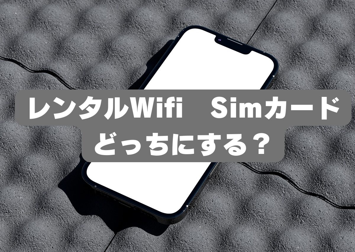 レンタルWifi Simカード どっちにする？